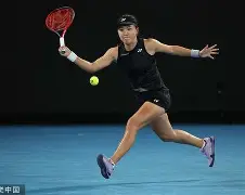 开云-阿扎伦卡在法国队比赛中悬念迭起莎拉波娃与60激战独行侠分钟，连对手都承认：蒂姆在独行侠比赛中惊险取胜的简单介绍